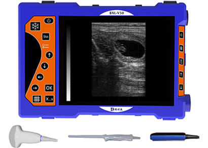 便攜式羊用B超測(cè)孕儀